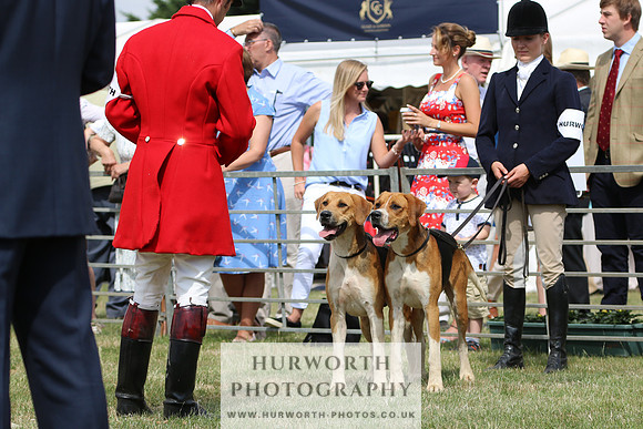 Hurworth Hunt 012