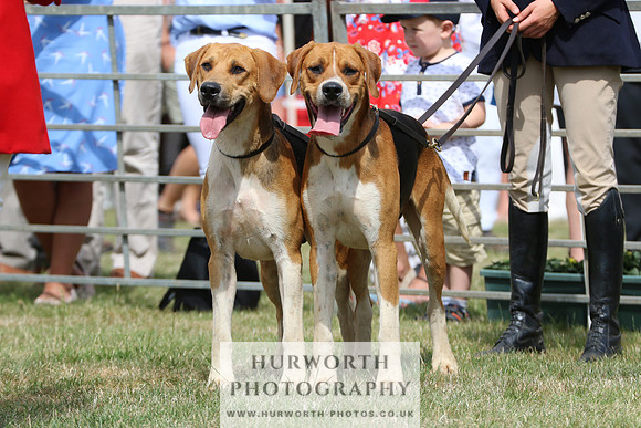 Hurworth Hunt 013