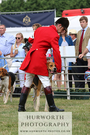 Hurworth Hunt 017
