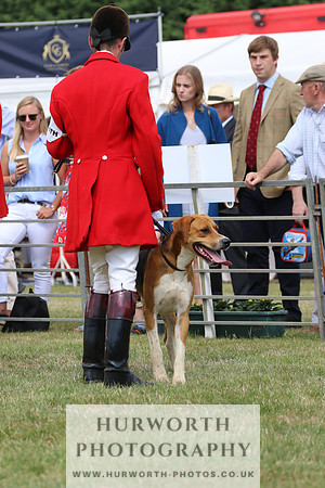 Hurworth Hunt 018