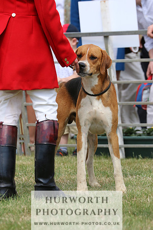 Hurworth Hunt 020