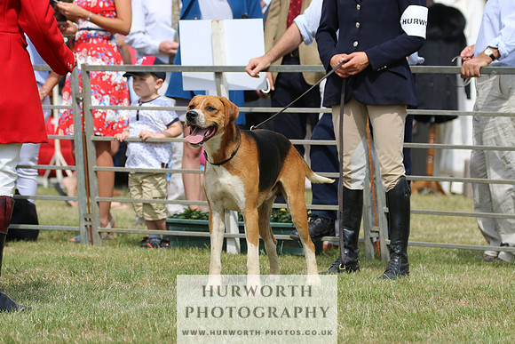 Hurworth Hunt 022