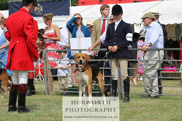 Hurworth Hunt 024