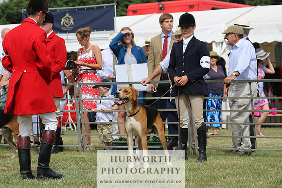 Hurworth Hunt 025