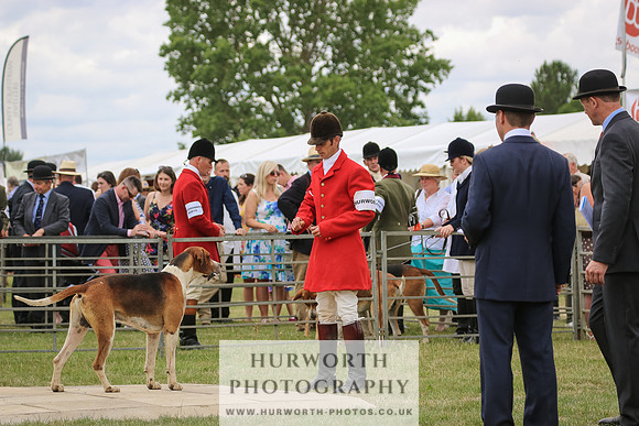 Hurworth Hunt 033