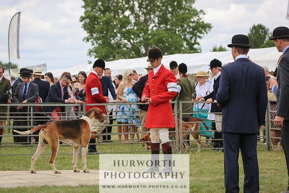 Hurworth Hunt 034