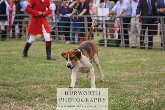 Hurworth Hunt 036
