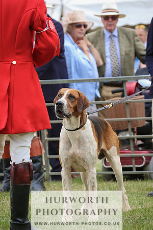 Hurworth Hunt 040