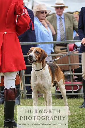 Hurworth Hunt 041