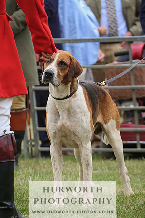 Hurworth Hunt 042