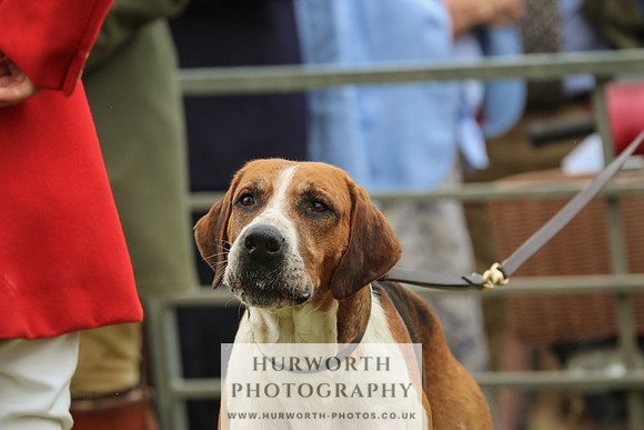Hurworth Hunt 047