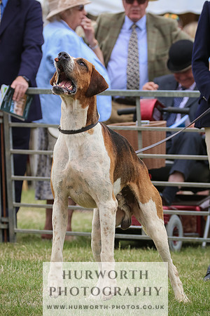 Hurworth Hunt 051