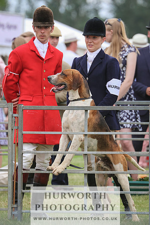 Hurworth Hunt 053
