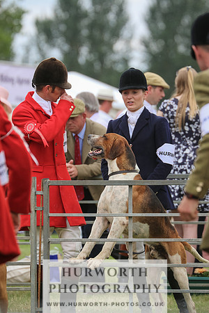 Hurworth Hunt 055