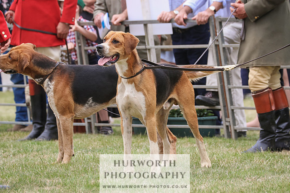 Hurworth Hunt 058