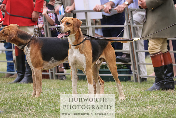 Hurworth Hunt 059
