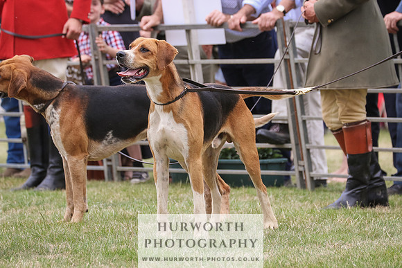 Hurworth Hunt 060