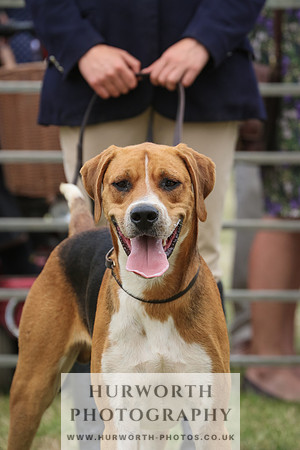 Hurworth Hunt 067