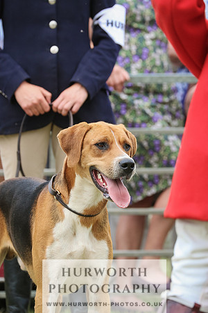 Hurworth Hunt 068
