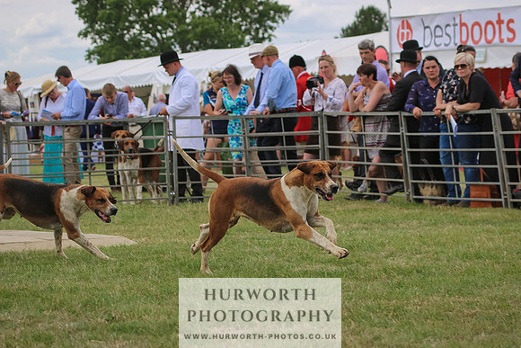 Hurworth Hunt 076