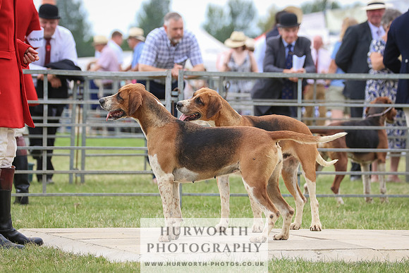 Hurworth Hunt 077