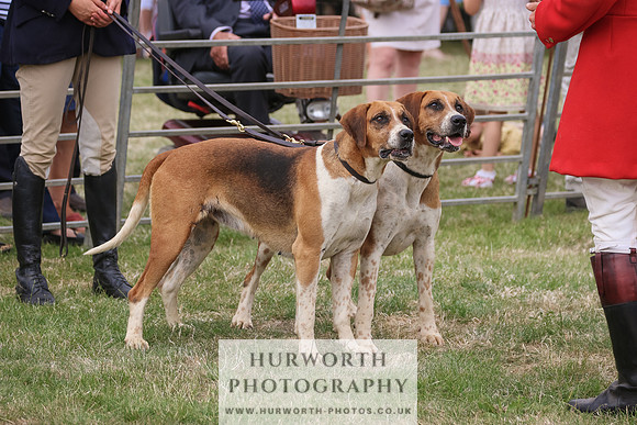 Hurworth Hunt 082
