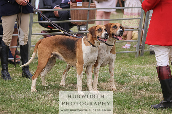 Hurworth Hunt 083