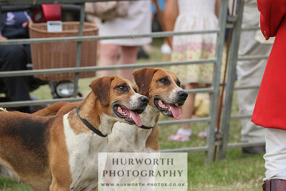 Hurworth Hunt 084