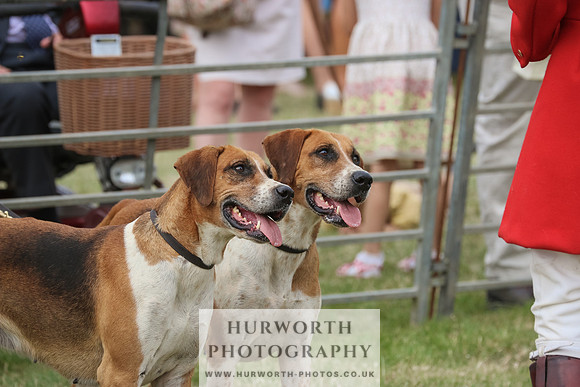 Hurworth Hunt 085