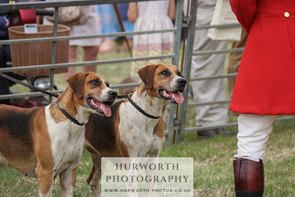 Hurworth Hunt 086