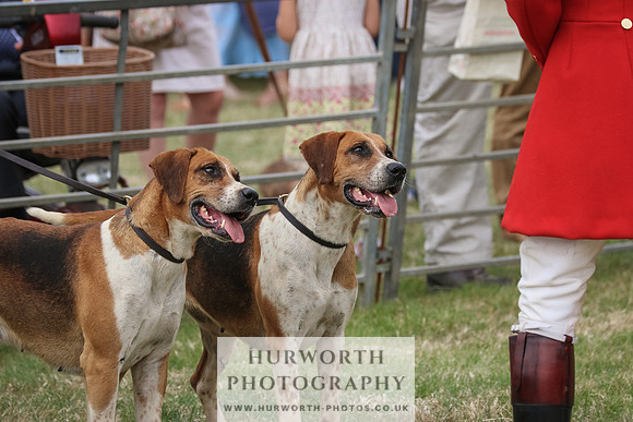 Hurworth Hunt 087