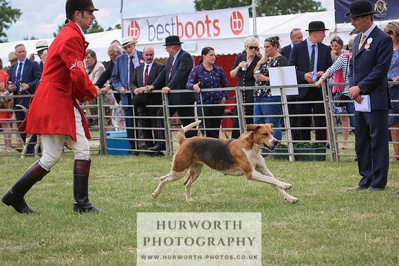 Hurworth Hunt 090