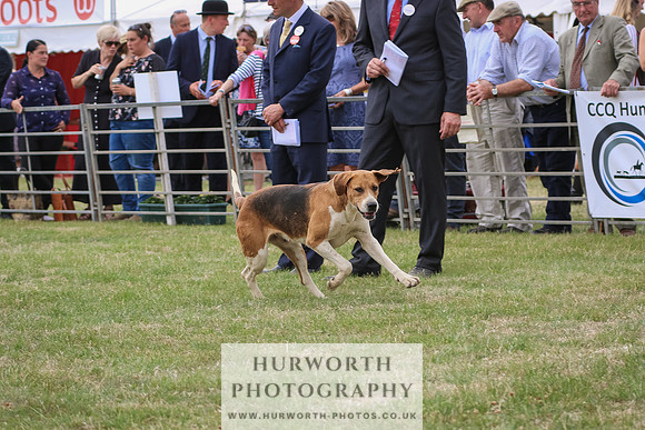 Hurworth Hunt 091