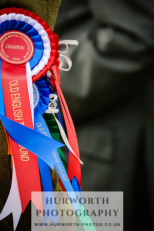 Hurworth Hunt 094
