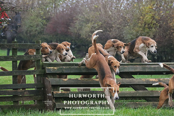 Hurworth Hunt  129