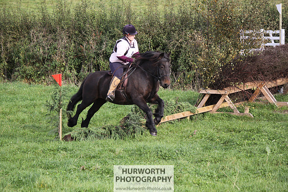 Hurworth Bilsdale Hedge Hop 028