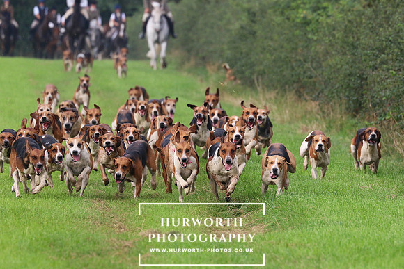 Hurworth Hunt 424
