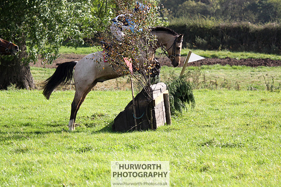 Hurworth Bilsdale Hedge Hop 298