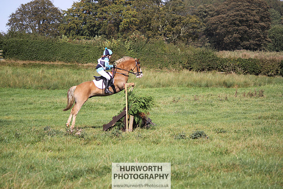 Hurworth Bilsdale Hedge Hop 336