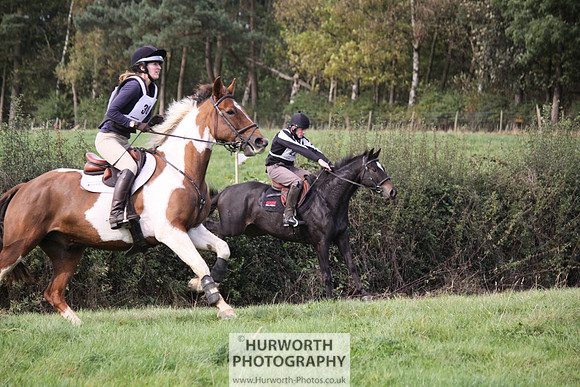 Hurworth Bilsdale Hedge Hop 638