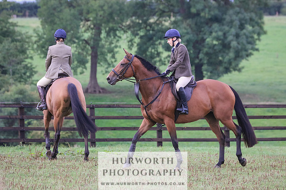 Hurworth Hunt 007