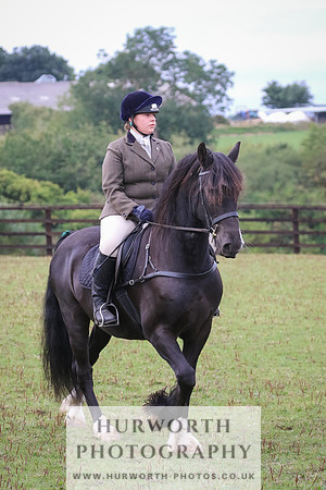 Hurworth Hunt 014