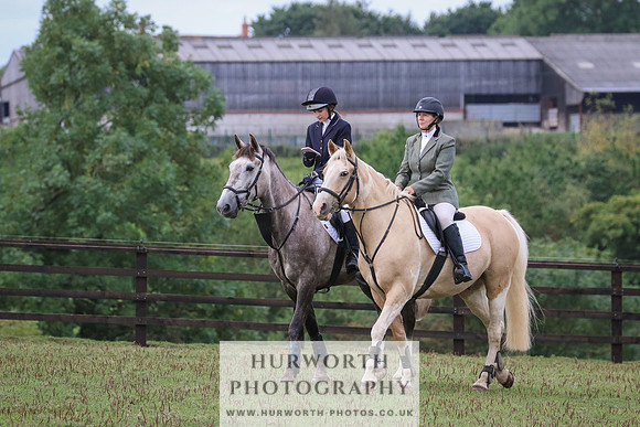 Hurworth Hunt 016