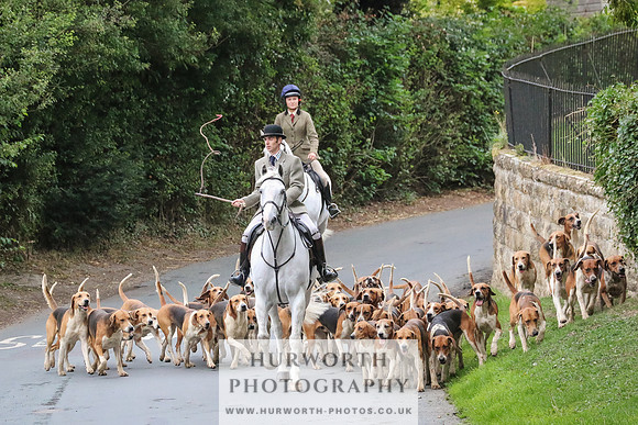 Hurworth Hunt 034