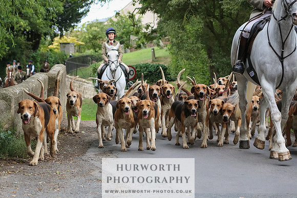 Hurworth Hunt 046