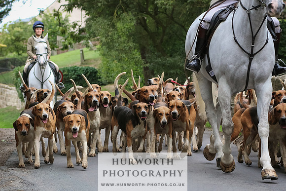 Hurworth Hunt 050
