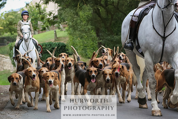 Hurworth Hunt 049