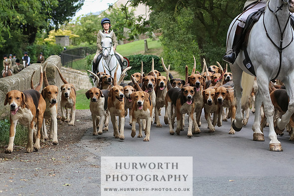 Hurworth Hunt 047
