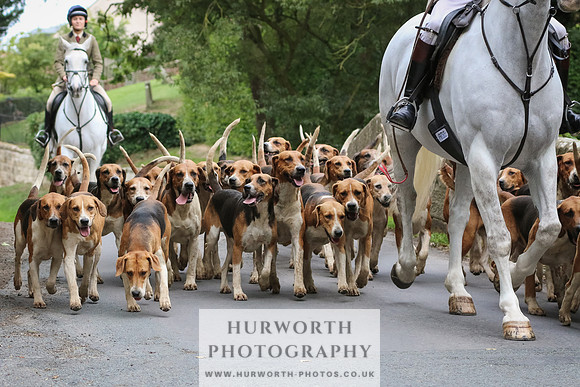 Hurworth Hunt 051
