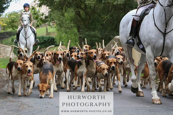 Hurworth Hunt 052
